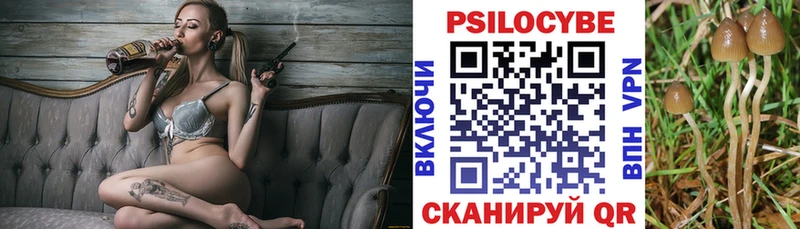Купить закладки  Сланцы  Псилоцибиновые грибы прущие грибы 
